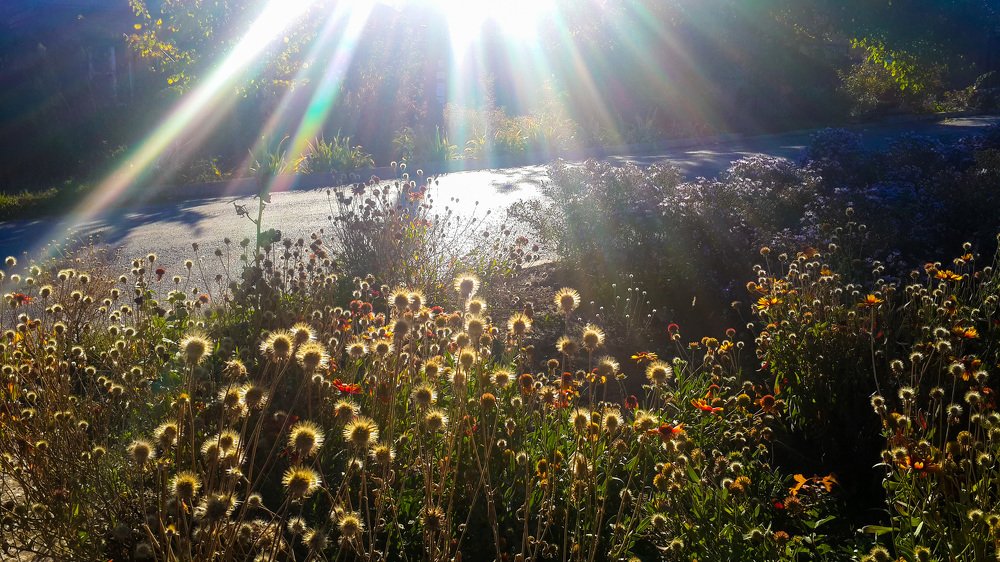 Лучик солнца на землю спустился