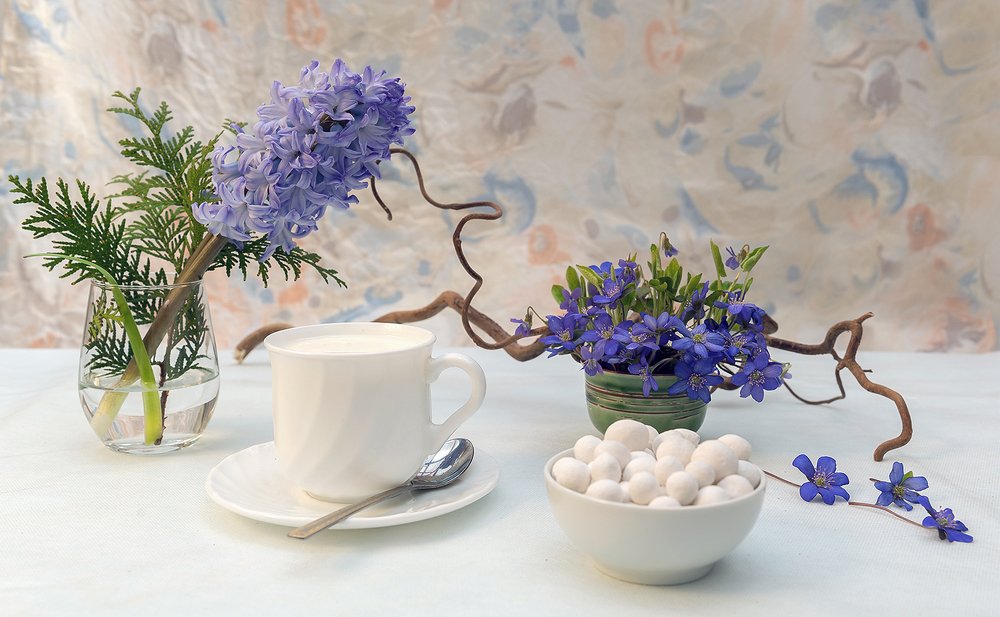 Натюрморт с гиацинтом