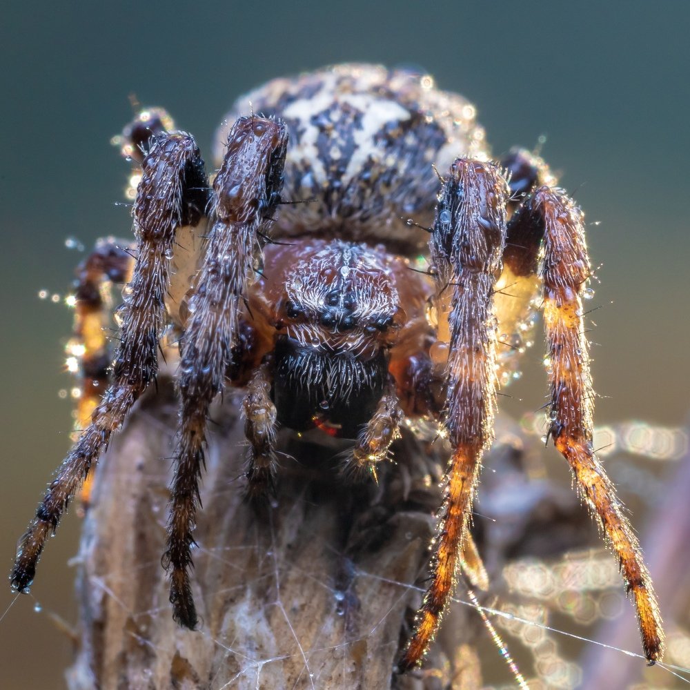 Photograph by Василий Тимофеев