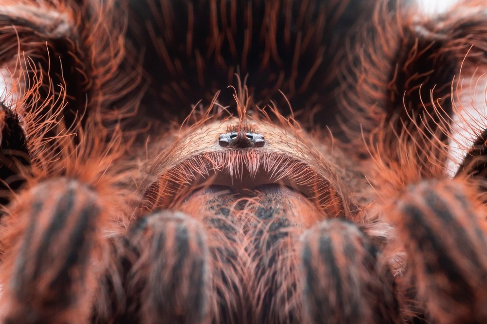 Photograph by Василий Тимофеев