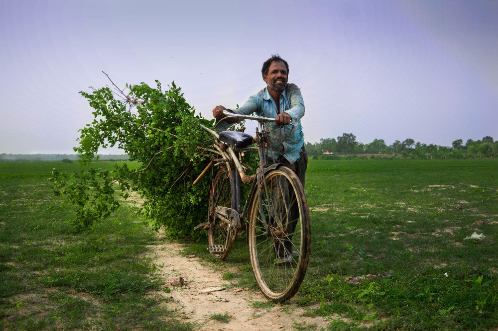 The journey of greens...