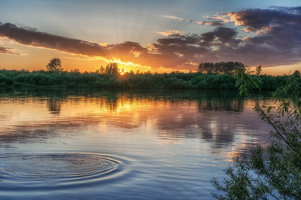 круги по воде