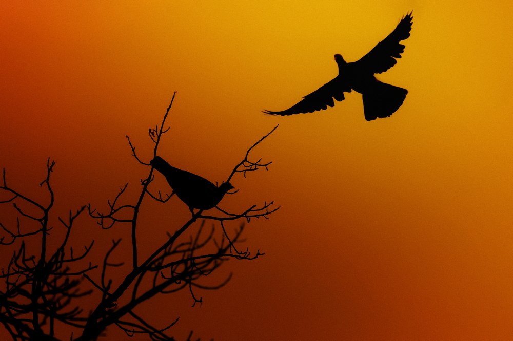 Фотография автора Александр Макаровский