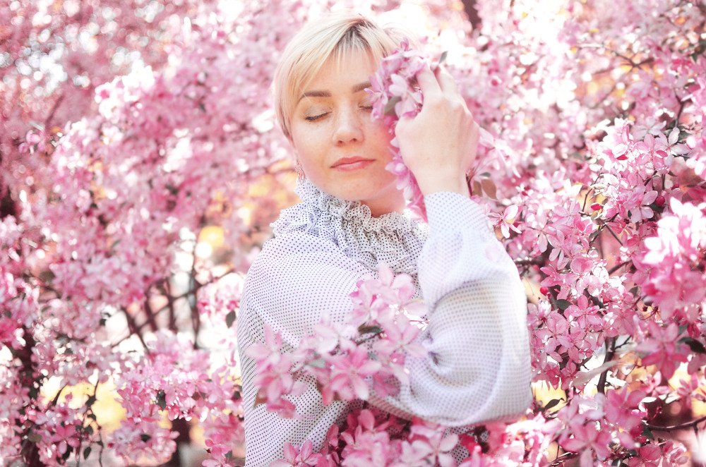 розовые деревья