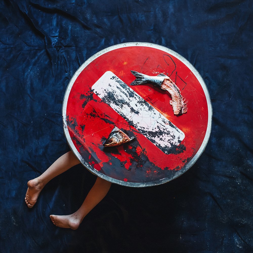 "Здесь рыбы нет!"