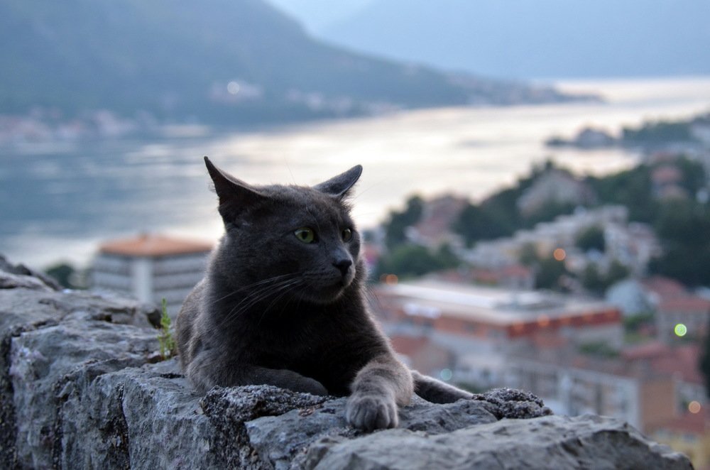 Старый Котор