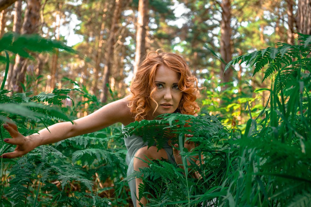 В поисках жертвы