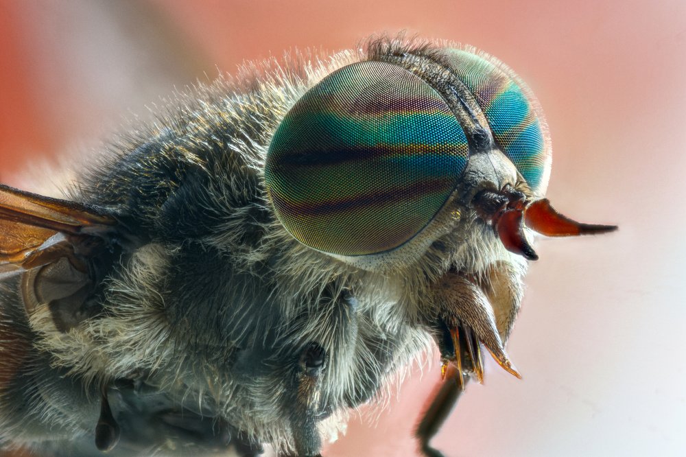 Terribly interesting