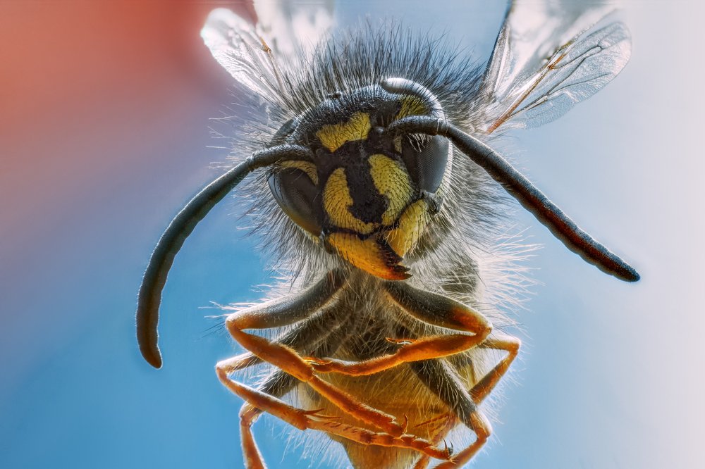 The judge asks questions