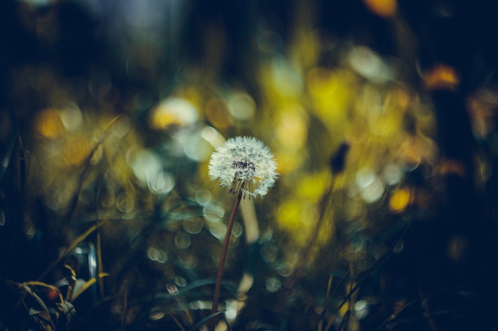 Photograph by Владимир