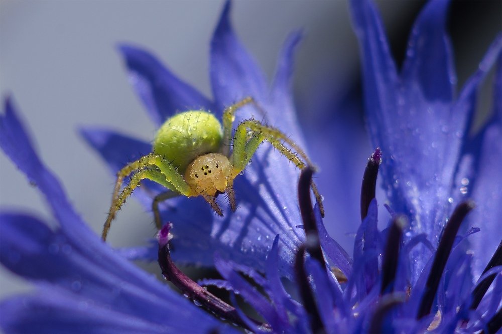 Photograph by Аксана Чалова