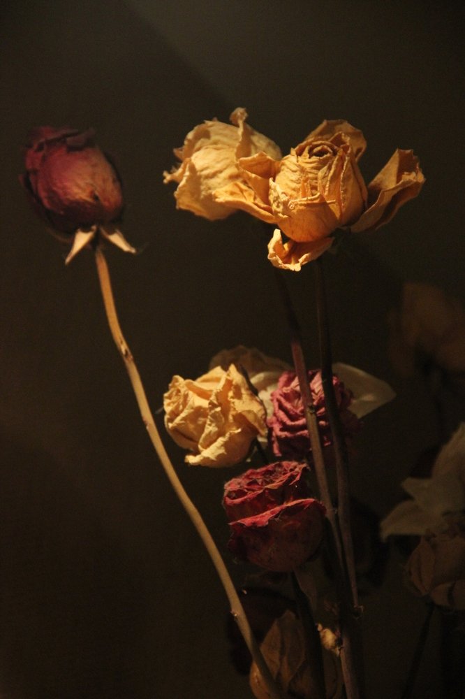 жизнь после жизни