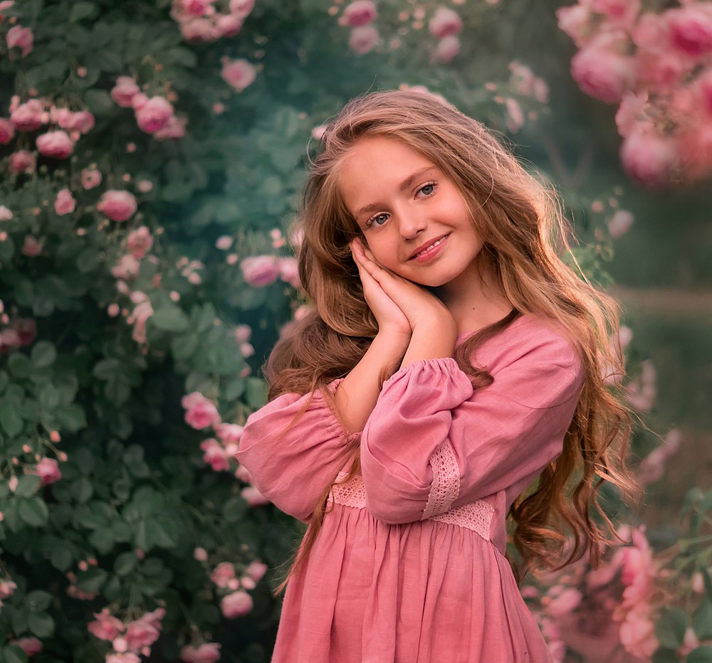 розовый куст