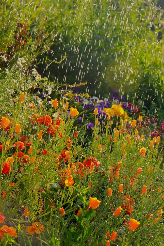 глоток свежести