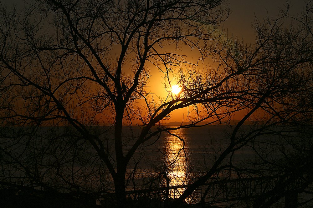 Приморский Виски