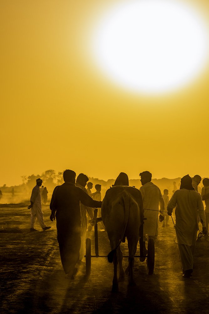 To the Starting Point