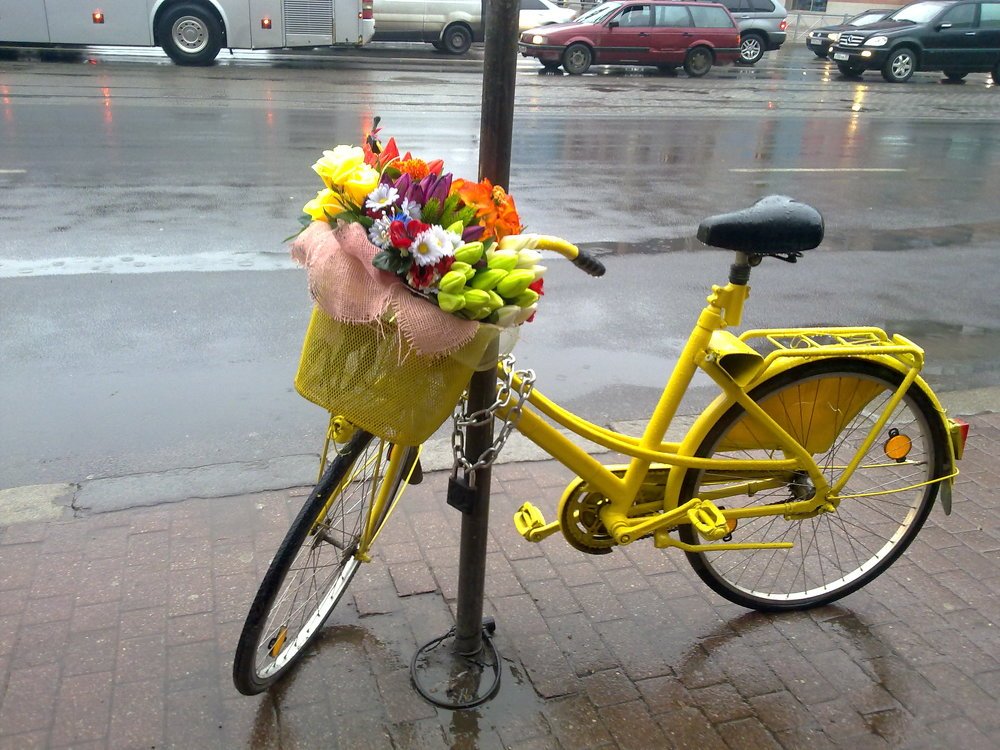 Весеннее утро