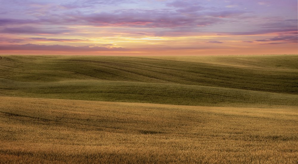 Photograph by Андрей Медведев