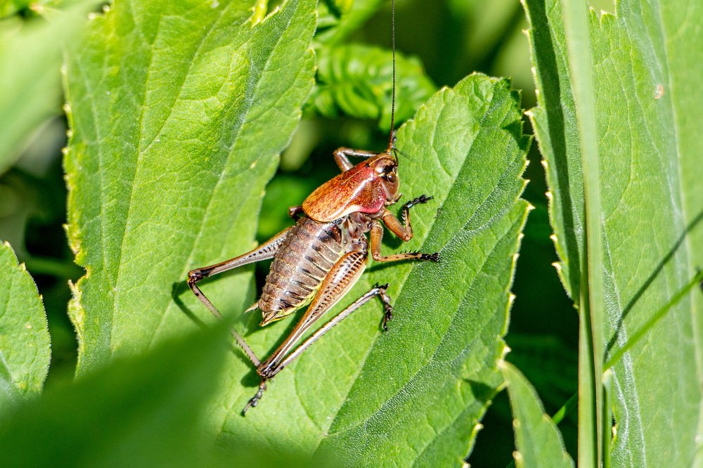 Photograph by Виталий