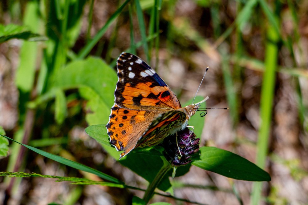 Photograph by Виталий