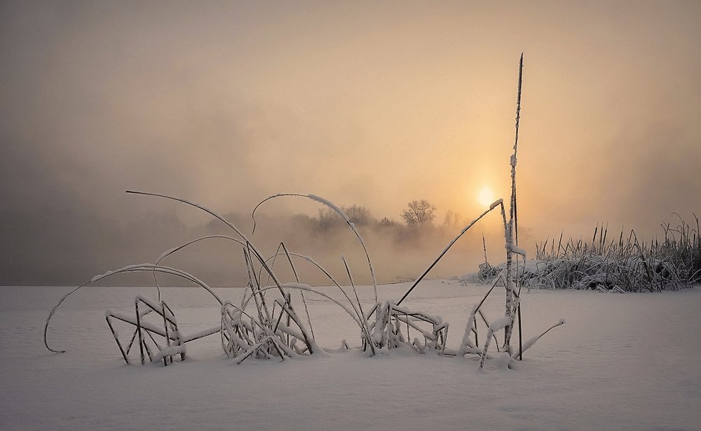 Зимнее утро
