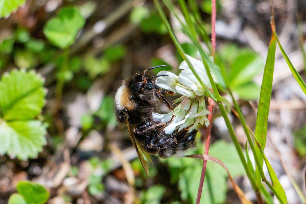 Photograph by Виталий