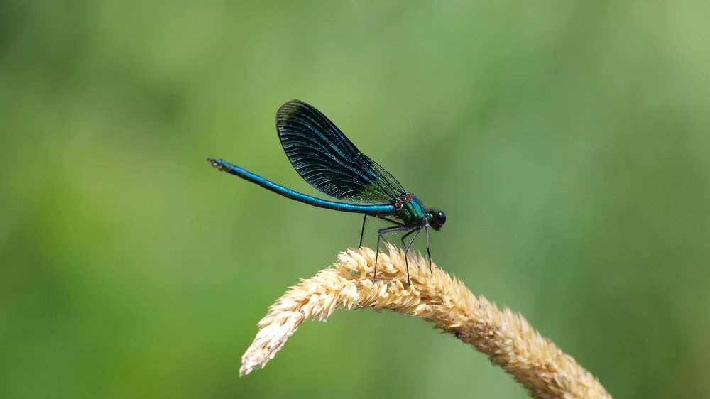 Линии и формы...