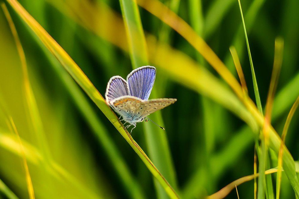 Photograph by Анастасия Донская