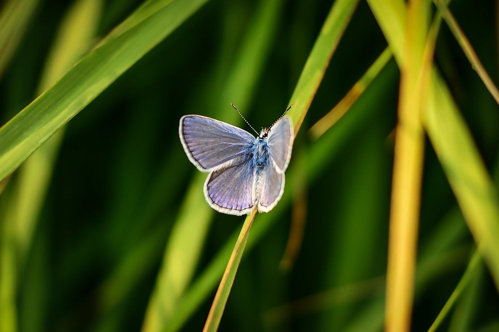 Photograph by Анастасия Донская