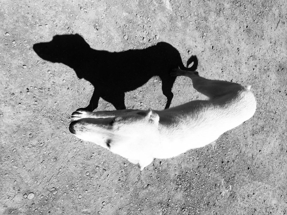 Photograph by Karina Gosman