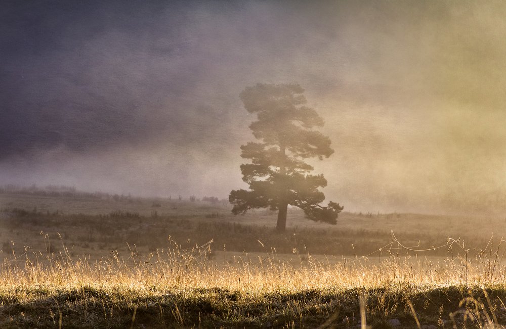 Пора готовить завтрак