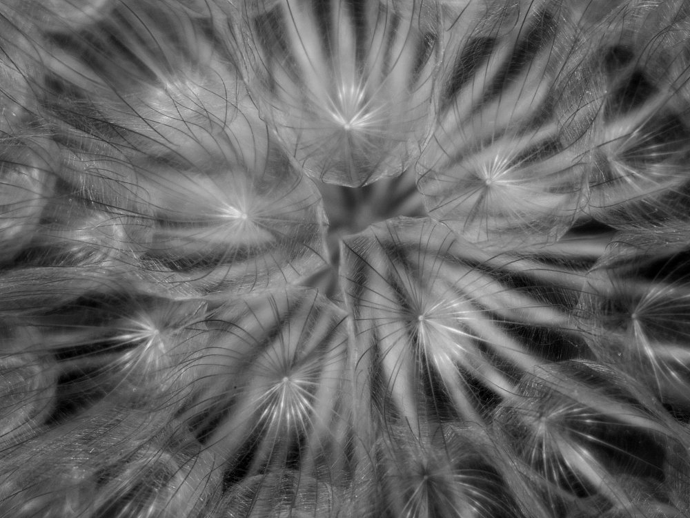 Лучи и лучики...