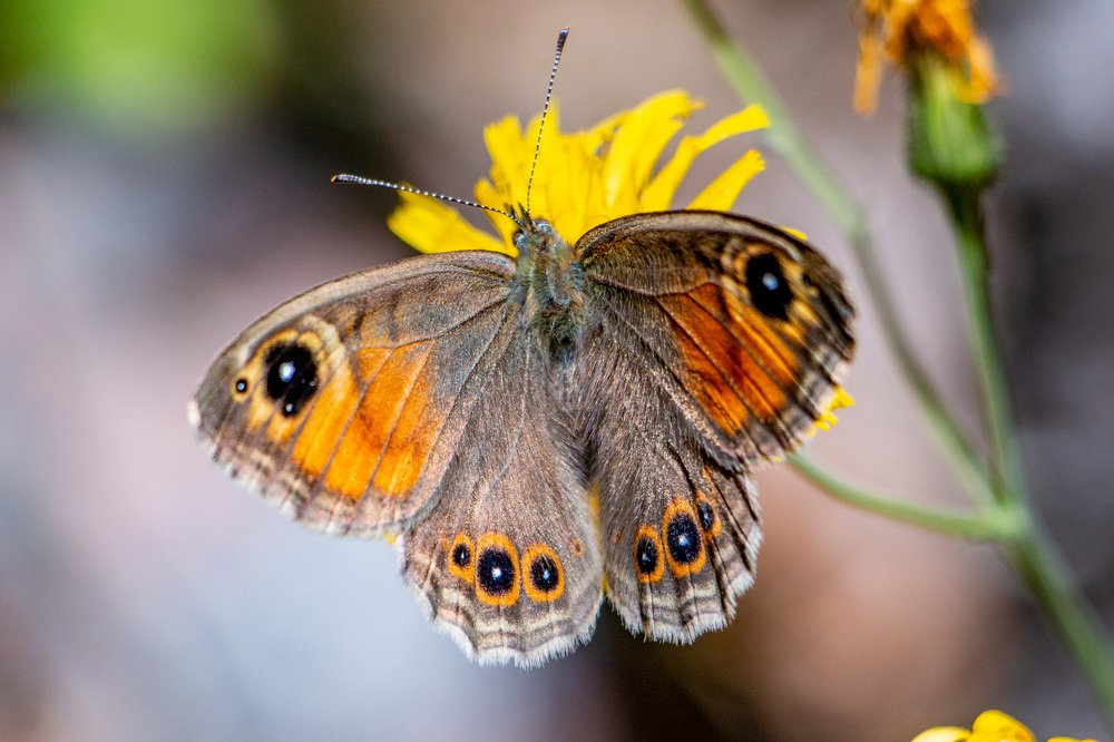 Photograph by Виталий