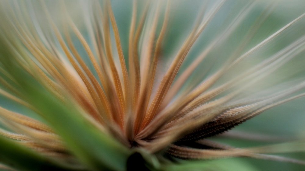 Источник новой жизни...