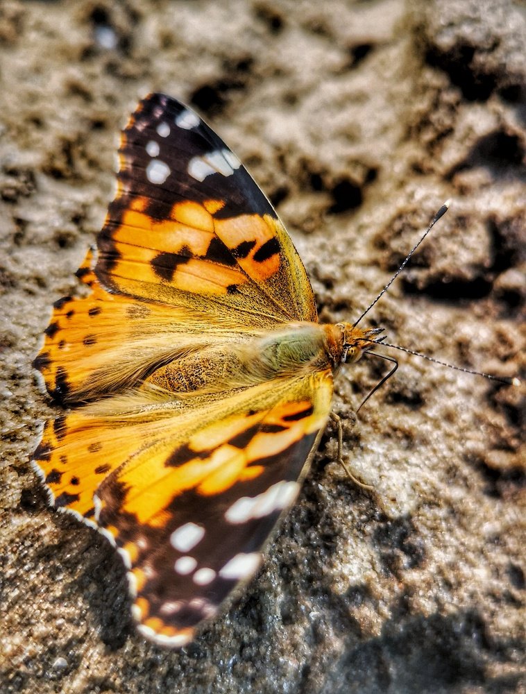 Photograph by Татьяна Чернышова