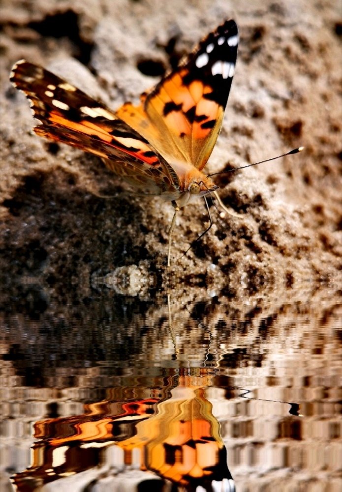 Photograph by Татьяна Чернышова