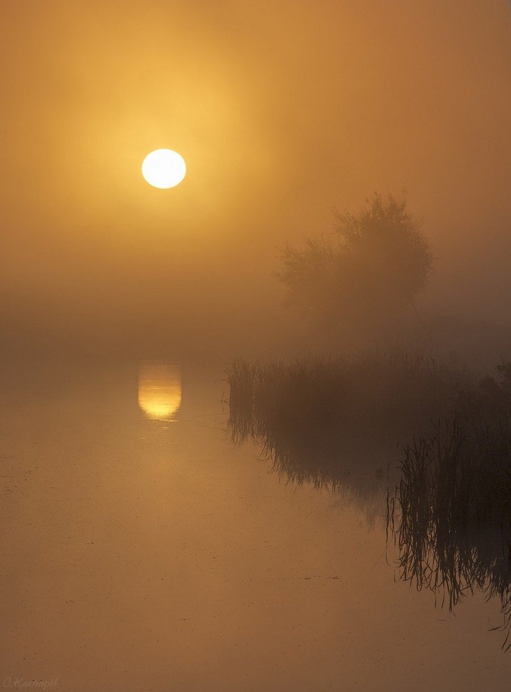 Росное утро.