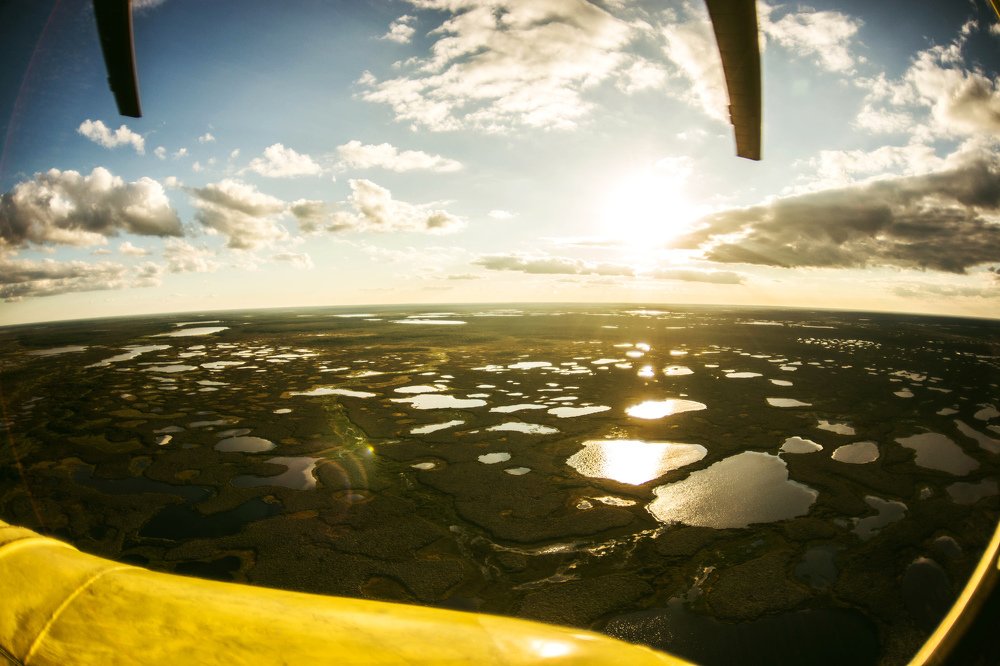 Photograph by Виталий Гуляев