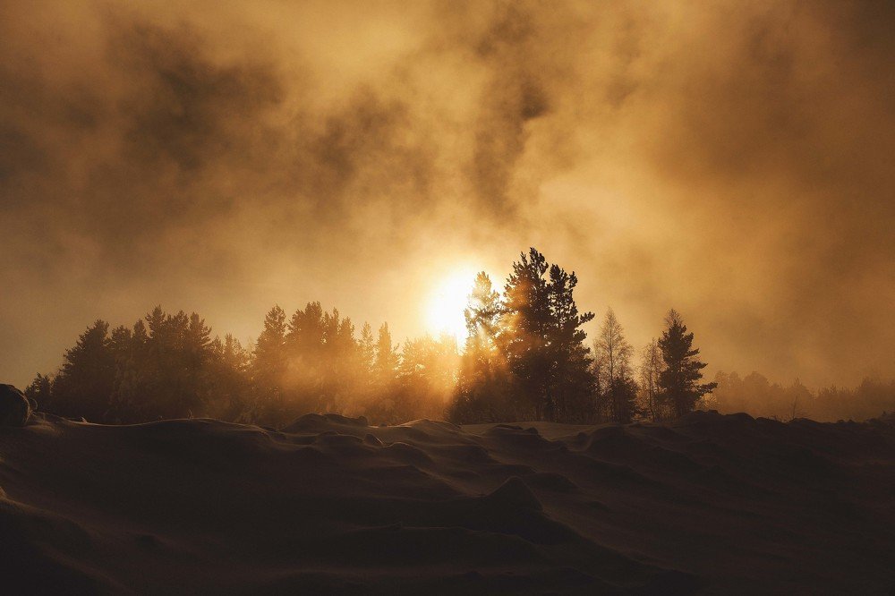 Photograph by Виталий Гуляев