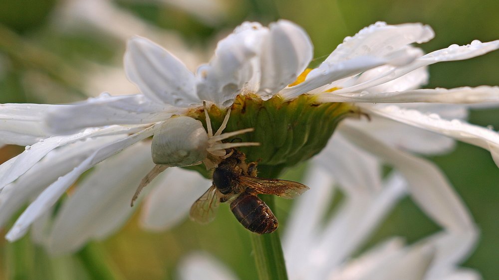 Теперь можно и перекусить...