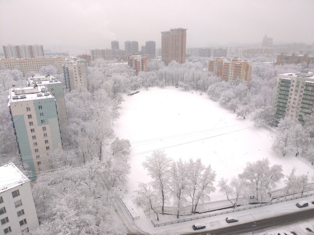 Фотография автора Алексей Новиков