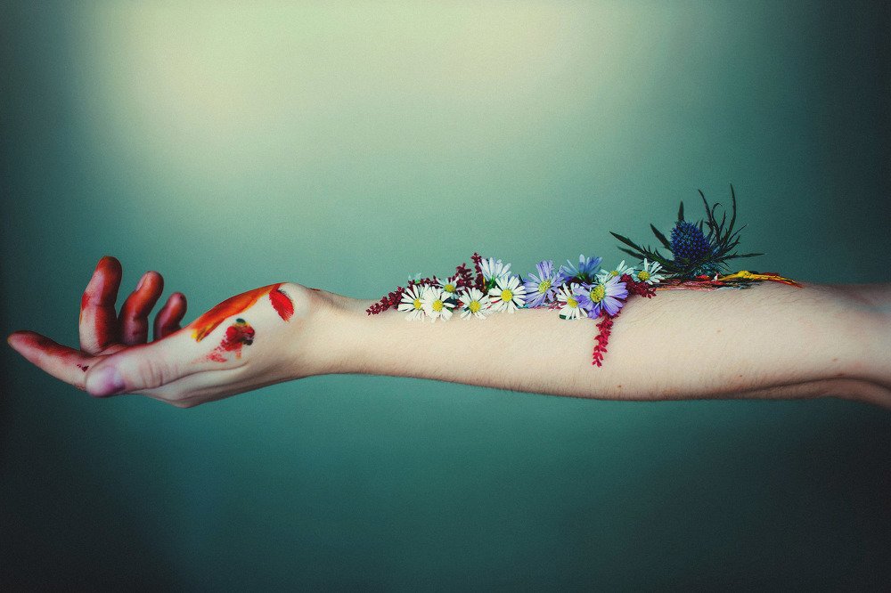 Photograph by Виталий Гуляев