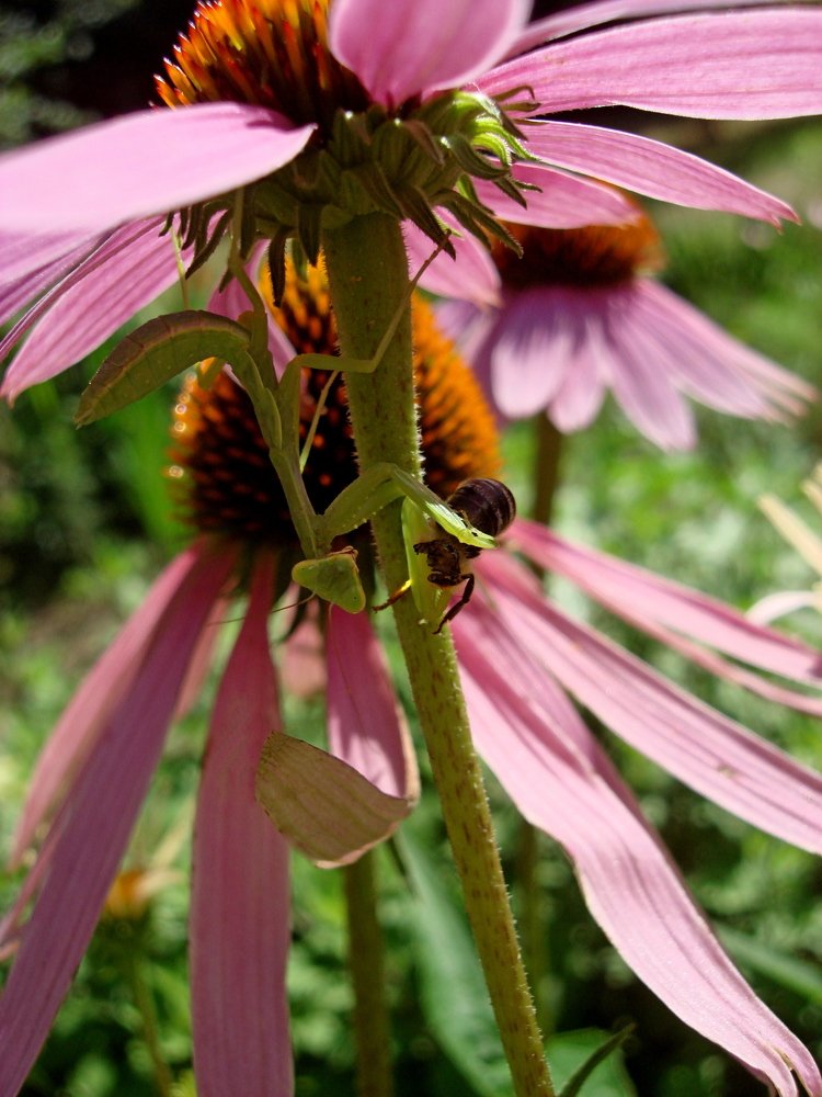 -"Слыш, папараццы, не отвлекай..."