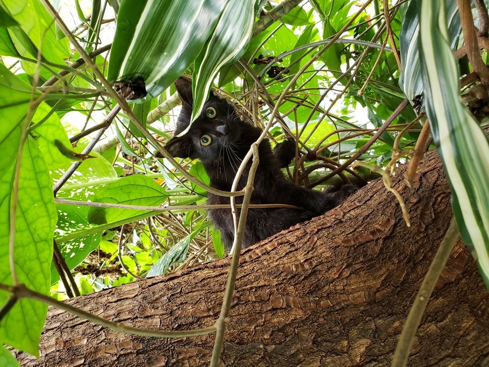 Oops. I can see you.