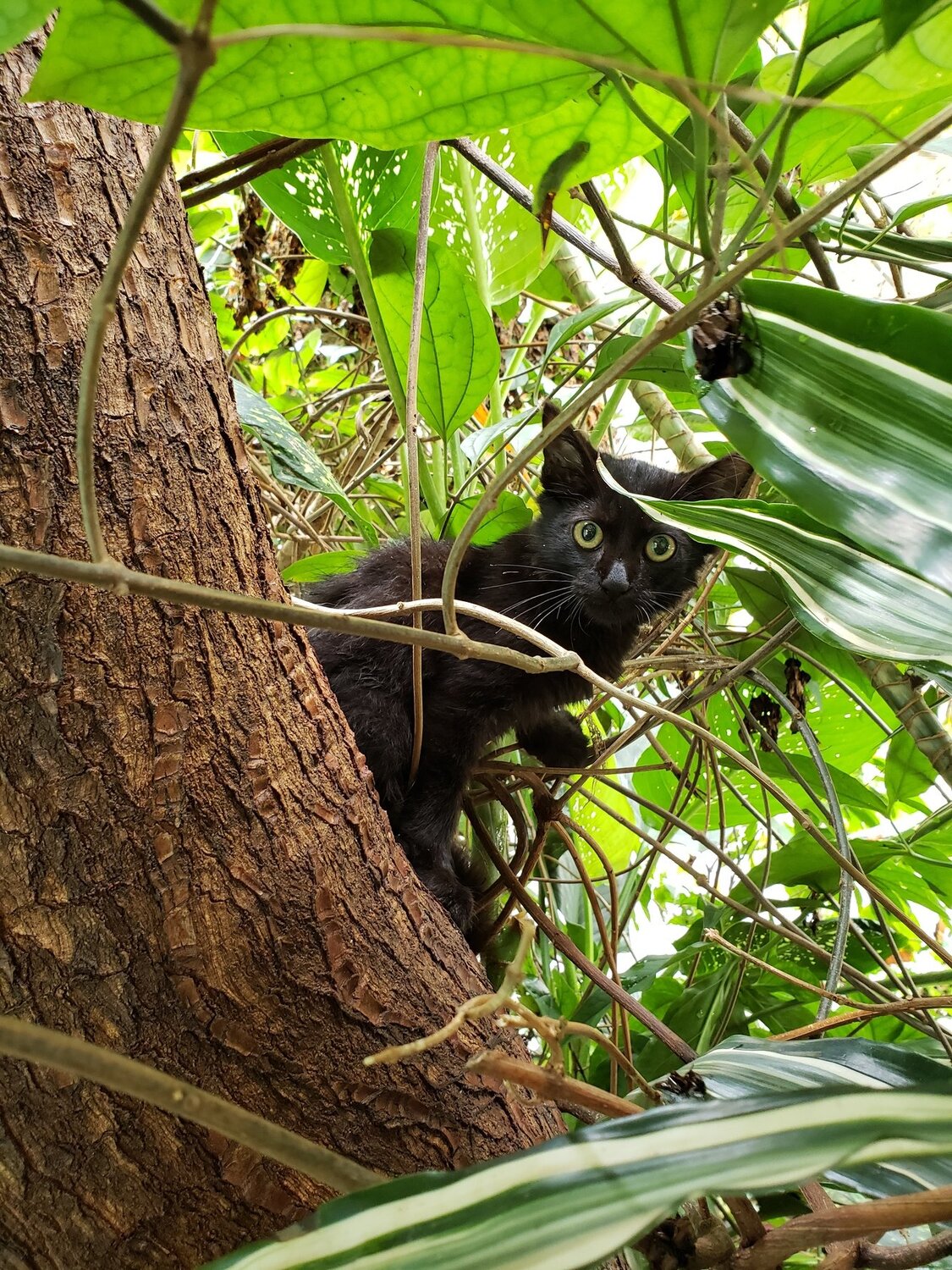Oops. I can see you.