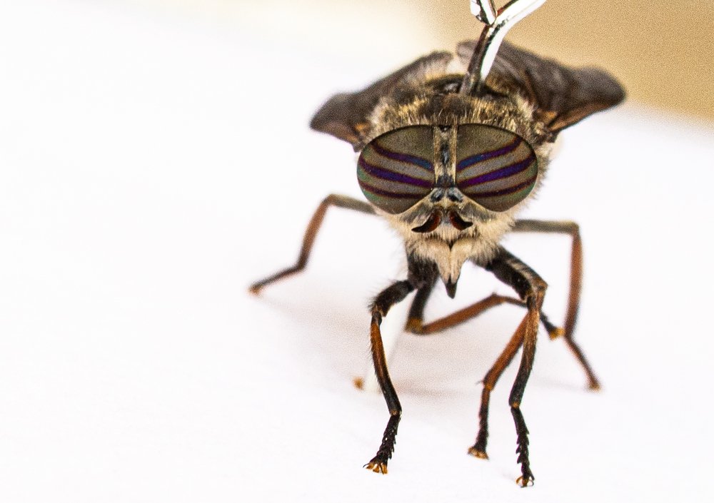 Photograph by Игорь Кац