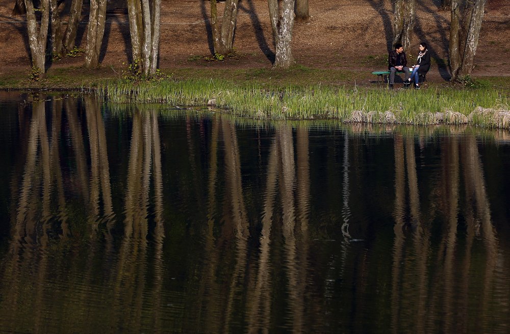 Зеркало природы