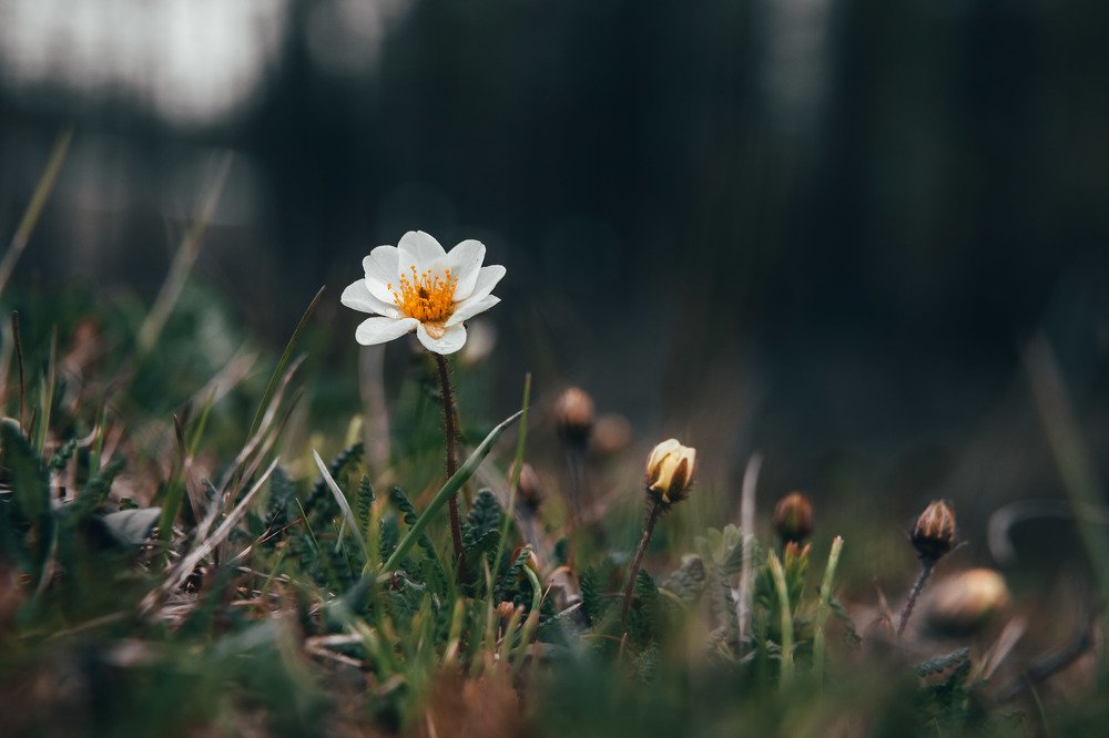 Photograph by Антон Кривошейцев