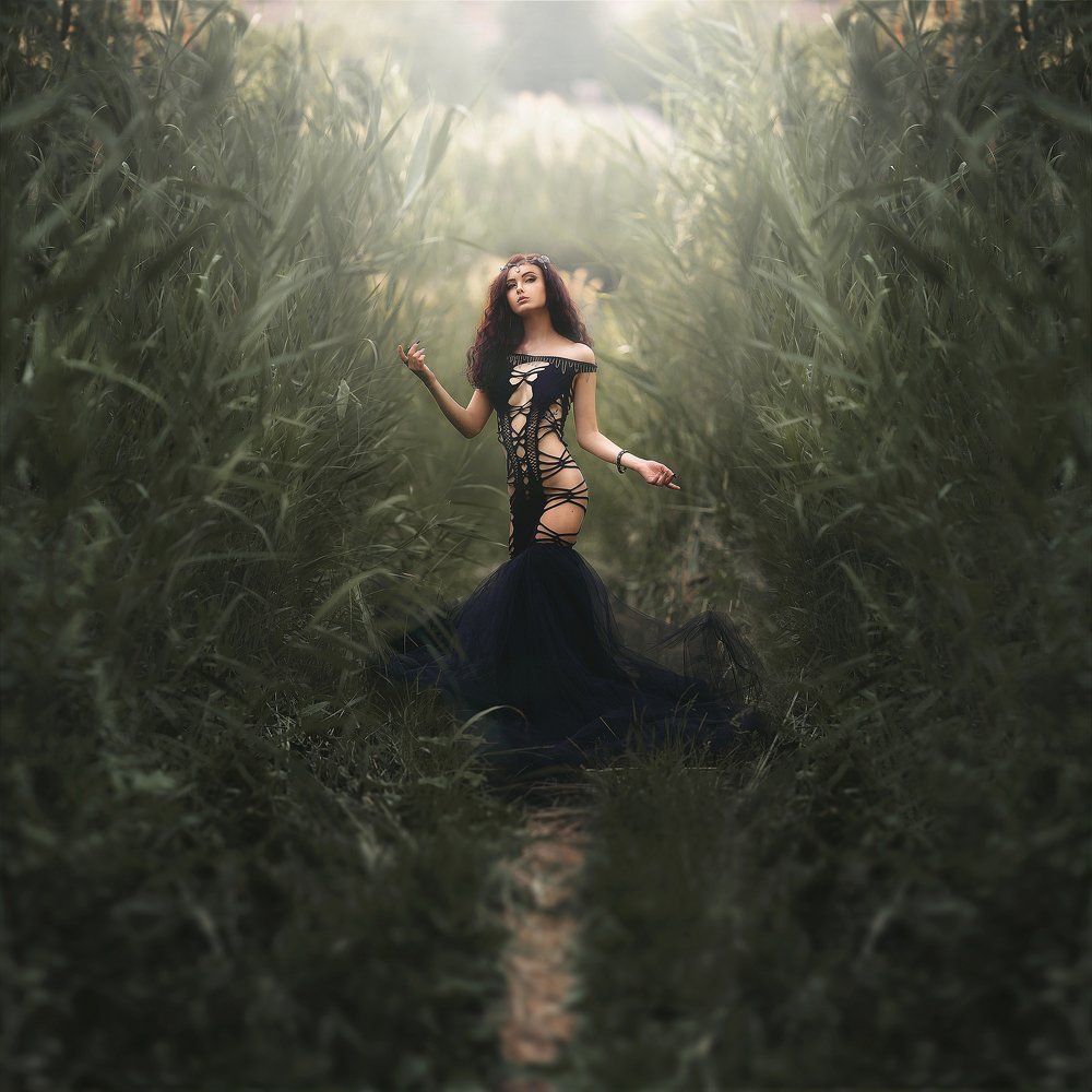 Photograph by Щепин Сергей