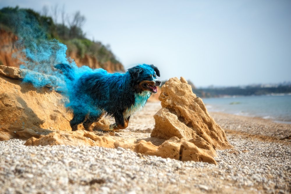 Морской дух